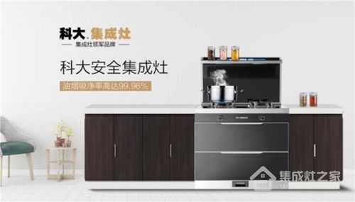 火王丨集成灶加盟哪个品牌好