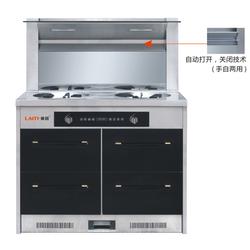 集成灶十大品牌 集成灶 莱田电器